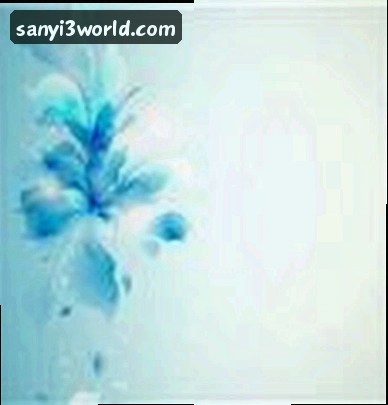 王芳